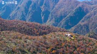 空撮・大台ケ原山系：中腹で紅葉が見ごろ　奈良・三重県境