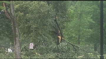 Tree damages roof of Longmeadow home during storm