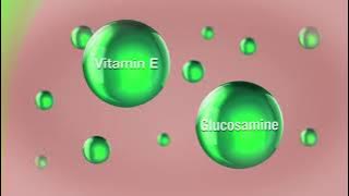 Download lagu JOINT FIT