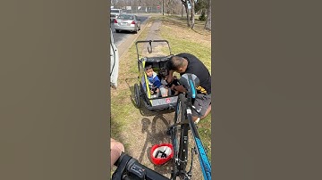 Allen Sports Deluxe 2-Child Bicycle Trailer & Stroller – Why You NEED This!