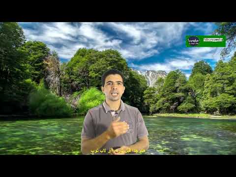 صورة لاب توب فى مصر هام جدا قبل شراء أى لاب توب شراء لاب توب من يوتيوب صورة لاب توب فى مصر هام جدا قبل شراء أى لاب توب شراء لاب توب من يوتيوب