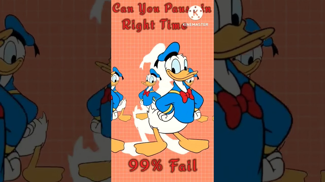 || CAN PAUSE THE DONALD DUCK IN RIGHT TIME || 