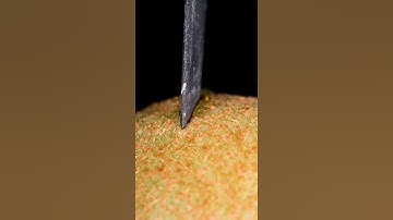 Super Calming Satisfying Relaxing Macro Video ASMR