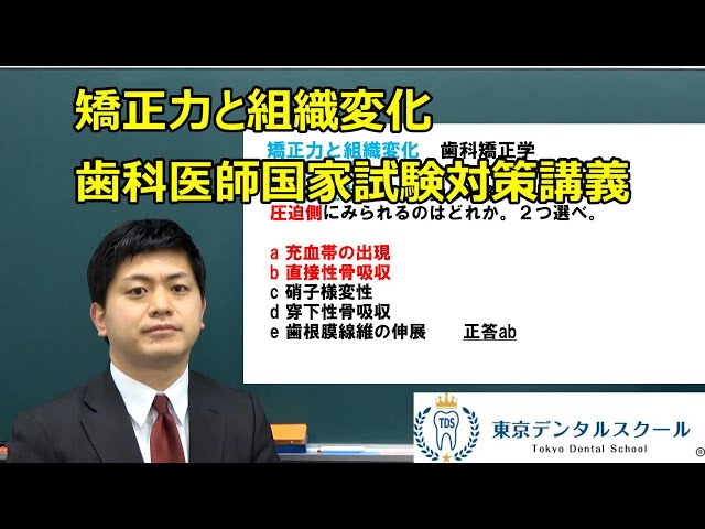 矯正力と組織変化 歯科医師国家試験対策の矯正歯科学 - YouTube