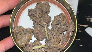 Twistiez Frozen Cookies Strain Review