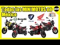 MINIMOTOS en México TODOS los modelos || 2021