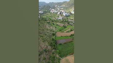 ارح مسمعك بآيات من الذكر الحكيم 🍃🌸🍃للقارئ علاء المزجاجي 🍃🌸🍃