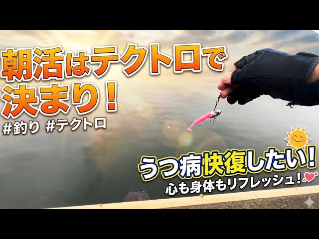 リテイク）レイジーファシャッド70Sのスイムチェックとフォール