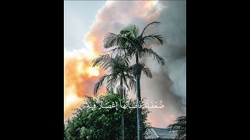 فَأَصَابَهَا إِعْصَارٌ فِيهِ نَارٌ فَاحْتَرَقَتْ  ۗ                  سورة البقرة ٢٦٦ | ياسر الدوسري