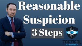 Reasonable Suspicion  Prosecutor Explains