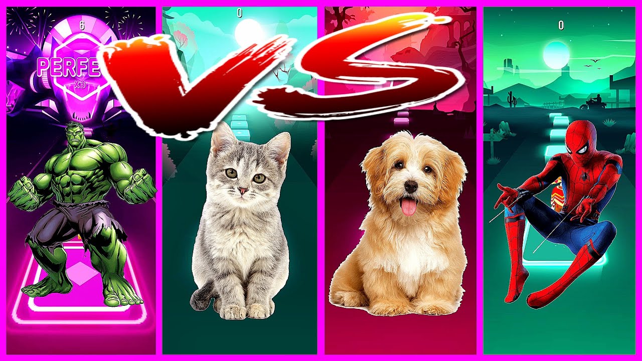 Hulk VS Cute Cat VS Dog VS Spider Man Tiles Hop Game - YouTube