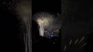Disneyland Forever Fireworks #disneyland #disneyland60 #fireworks #shorts