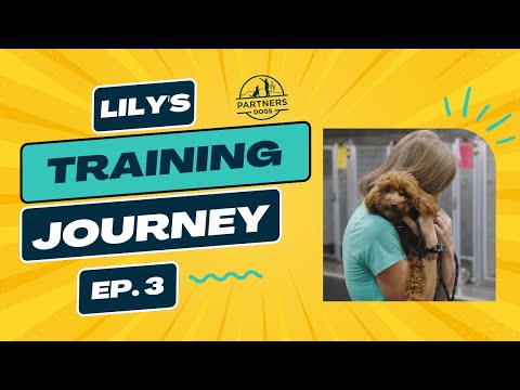 Lily: Episode 3