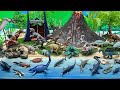 DIY Dinosaur Island With Jurassic World Dinos | Mosasaurus Ankylosaurus Tyrannosaurus Rex