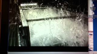 IMG 9981