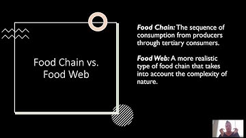 Ecosystem Ecology Lecture