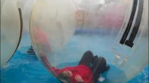 Teresa hopkins lazy hamster