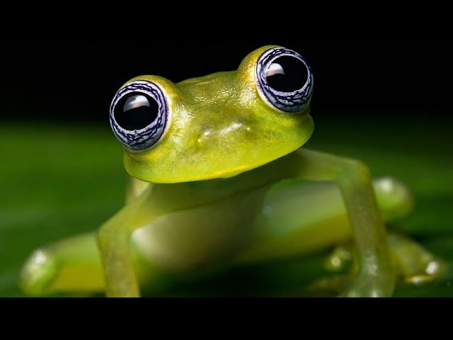 Creation Of Biological Life In The Universe
