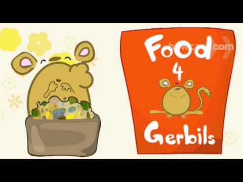 วีดีโอ: ทั้งหมดเกี่ยวกับ Gerbils: ดูแลอาหารของคุณ Gerbil