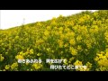 愛 ちひろ / 踊る流山