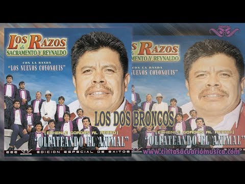 Los Dos Broncos - Los Razos de Sacramento y Reynaldo - Olfateando El Animal - Disco Oficial