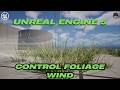 How to Control Wind on Quixel Plants in Unreal Engine 5