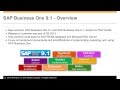 Mustard seed sap business one 9 1 highlights