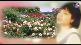 Download Lagu KAU YANG KU SAYANG  ~ Betharia Sonata ~ MP3