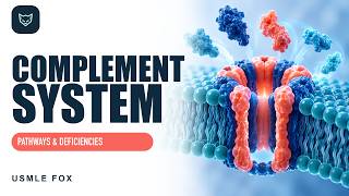 Complement System | Pathways, Deficiencies, HAE & PNH | USMLE Step 1