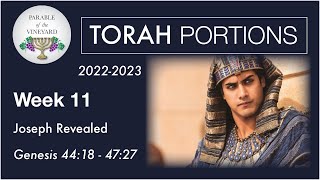 Torah Portion Week 11 - Genesis 44:18-47:27  (Joseph Is Revealed!)  2022-2023