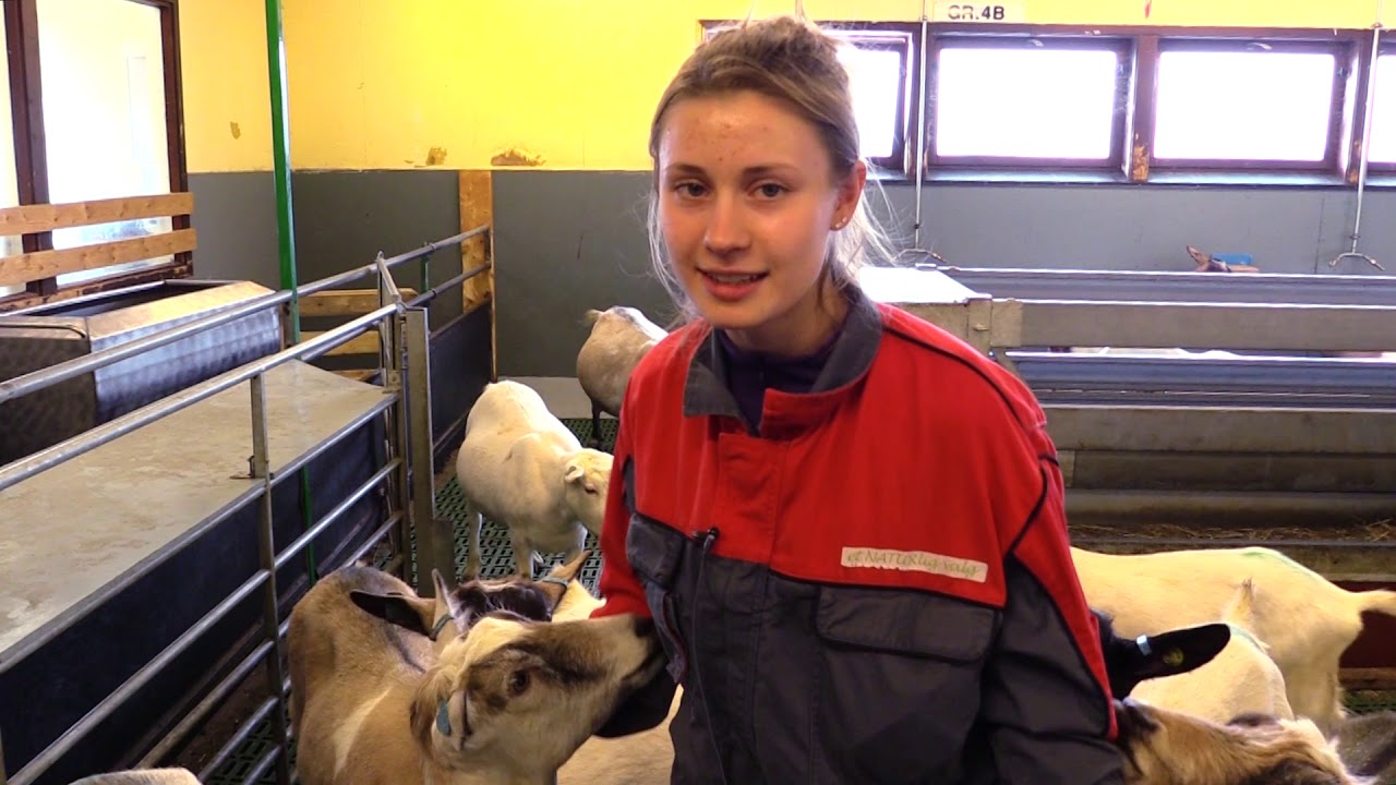 Naturbruk – vilbli.no