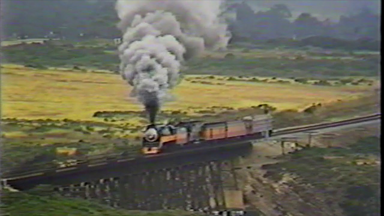 SP 4449 returning to Portland after Sacramento Railfair, 1981