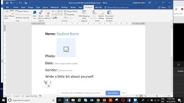 How to use the Microsoft Word developer tab basic tools