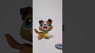 Littlest Pet Shop Collie 237 with Magnetic Frisbee Disk #shorts #lps