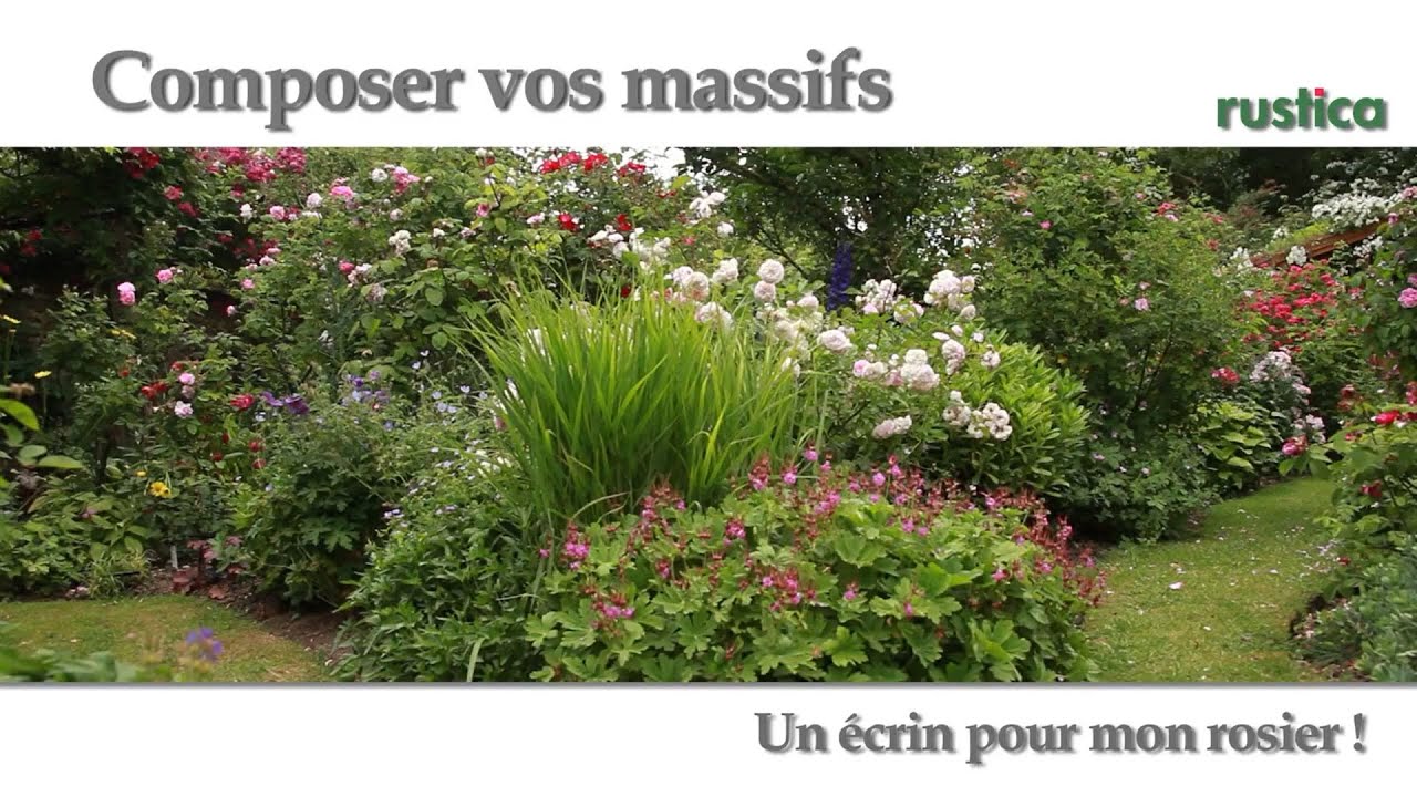 Idée de massif : mettre en valeur un rosier remontant arbustif - YouTube