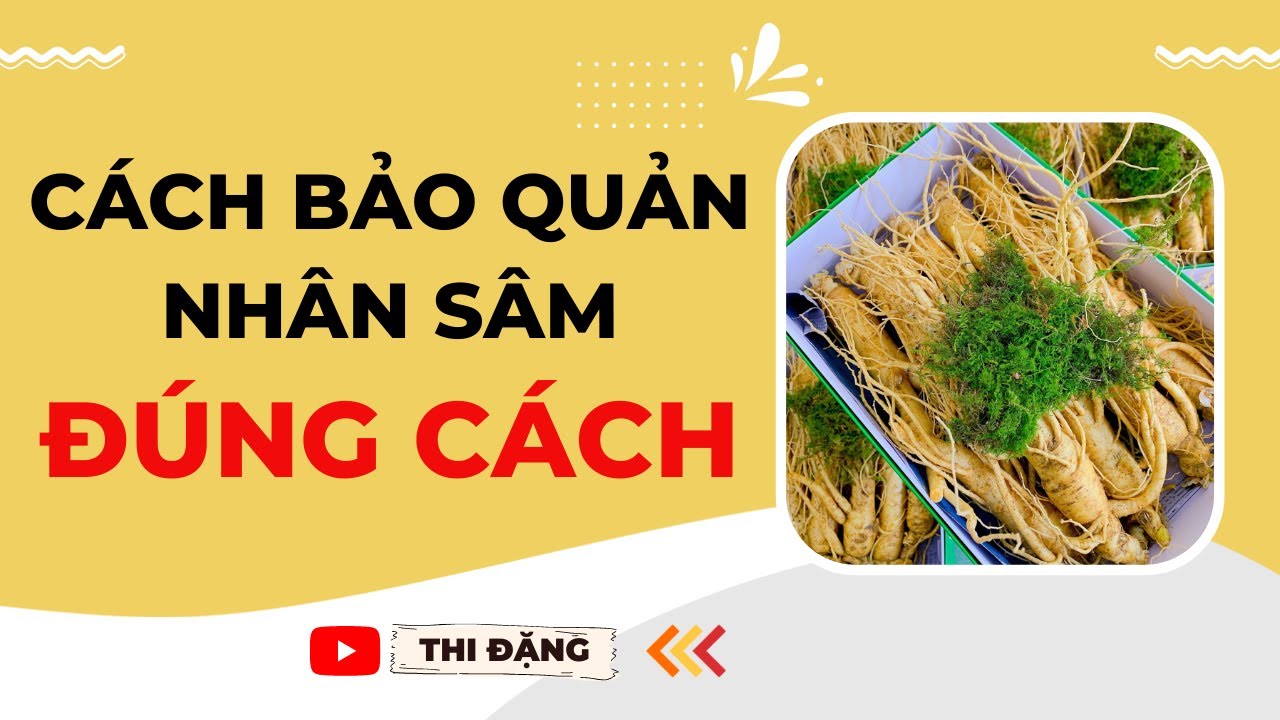 Nhân sâm tươi để được bao lâu