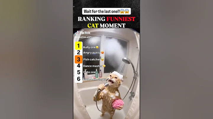 Video 11881431: laugh funniest cats, loud cat, hilarious compilation