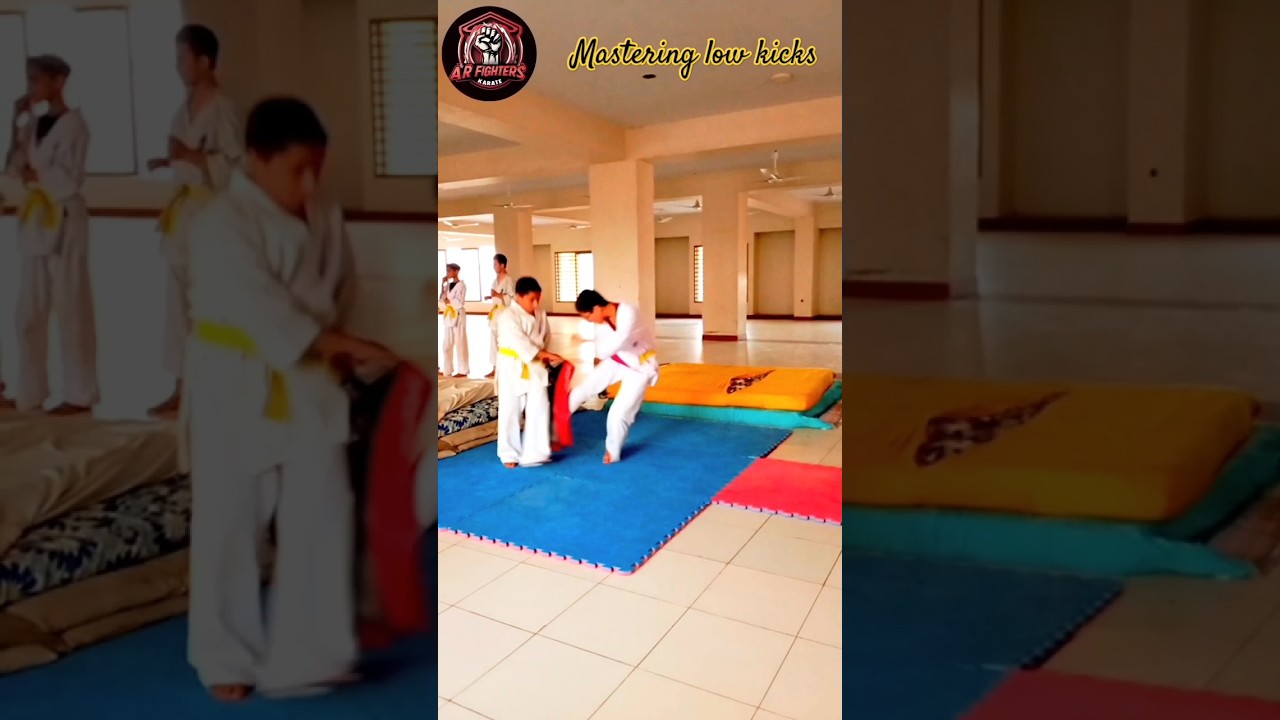 "MASTERING LOW KICKS! Practice to Perfection! 