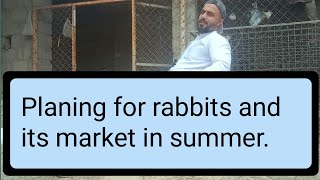 Raising Rabbits For Profit| Planning for rabbits | Rabbits Business | Organic Farming |