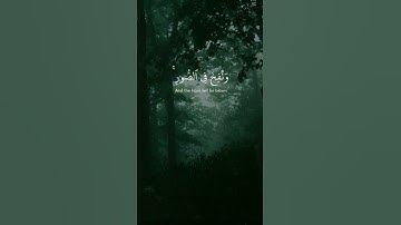 اجمل صوت لسورة ق