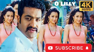 O Lilly 4k Video Song || Dhammu Movie ||#jrntr #trisha #karthika #4k #love #subscribe #devara