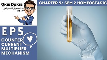Chapter 9 EP 5 / Sem 2 :  Counter Current Multiplier Mechanism (Matriculation Biology)