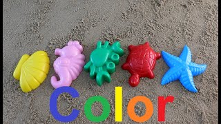 Learn Colors for Children colored sand molds marine inhabitants/учим цвета в песочнице