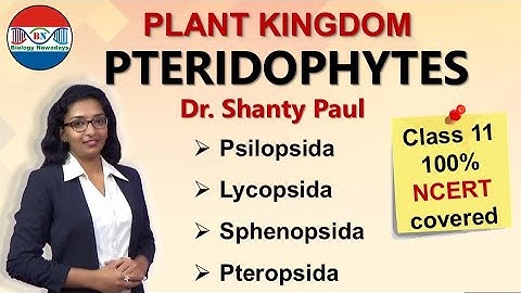 Pteridophytes- Plant kingdom