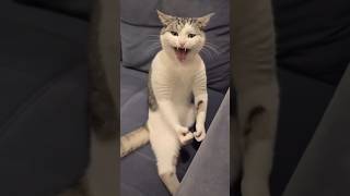 depression cat#tamil #shortvideo #depression
