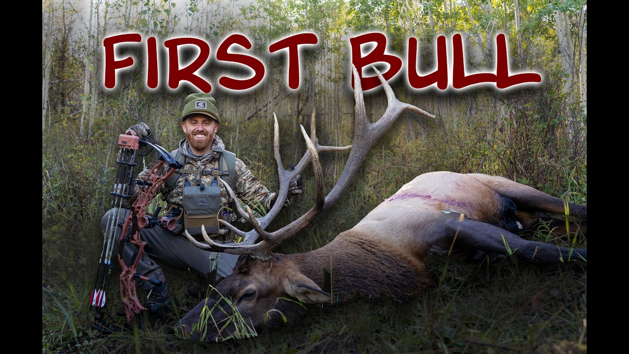 COLORADO ELK HUNTING: I SHOT MY FIRST BULL WITH A BOW!