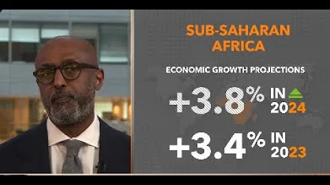 Regional Economic Outlook for Sub-Saharan Africa | April 2024 - DayDayNews