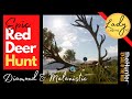 EPIC Red Deer Hunt with Diamond & Melanistic! - Hunter: Call of the Wild / Diamond & Rare