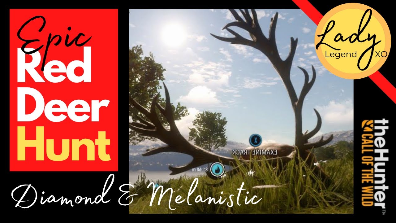EPIC Red Deer Hunt with Diamond & Melanistic! Hunter Call of the