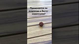Применяется ли рудракша в Васту-коррекциях? #vastu #васту #vastutips #vastushastra #вастушастра